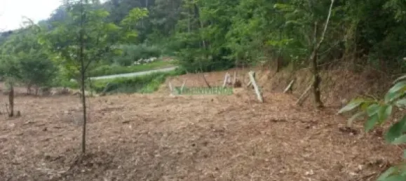 3 غرف نوم منزل في Pontevedra, Spain رقم 140510 13