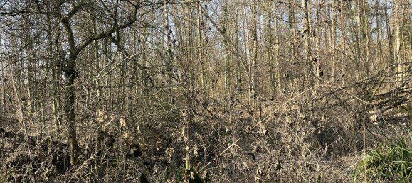 Moradia em banda de 9 divisões em Baden-Wurttemberg, Germany N.º 5445 28