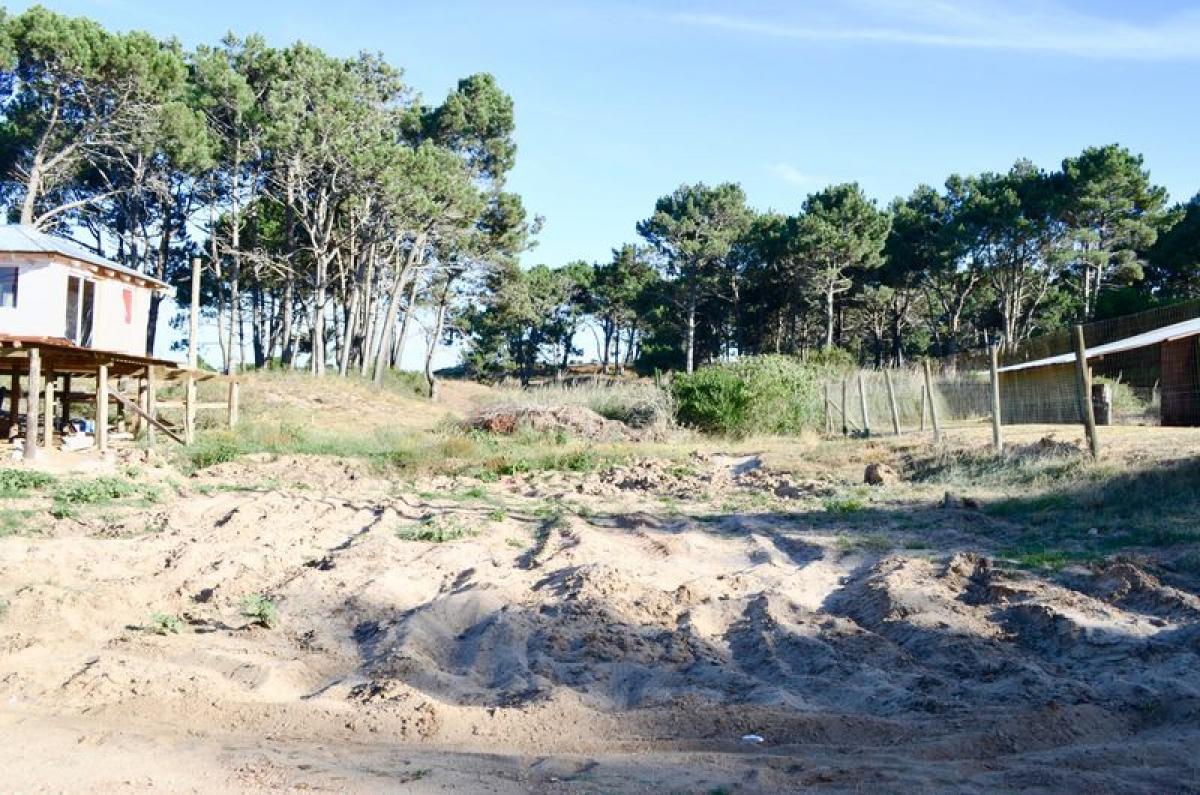  Land in Maldonado, Uruguay No. 14363