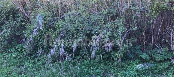 1 bedroom House in Marsala, Italy No. 87795 9