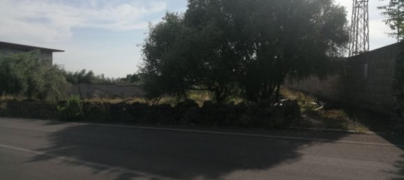 Terreno en Paternò, Italy 8400 m² No. 84035 2