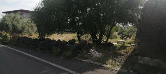 Terreno en Paternò, Italy 8400 m² No. 84035 3