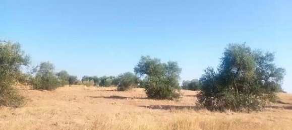 قطعة أرض في Montijo, Spain 8850متر مربع رقم 183062 3