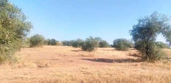  قطعة أرض في Montijo, Spain 8850متر مربع رقم 183062