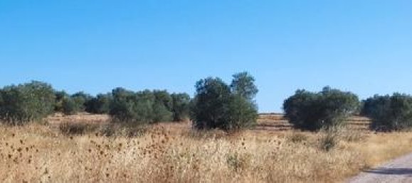 قطعة أرض في Montijo, Spain 8850متر مربع رقم 183062 5