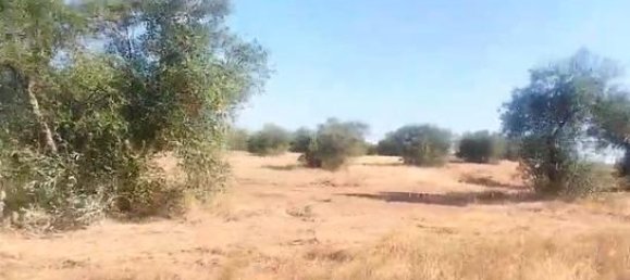 قطعة أرض في Montijo, Spain 8850متر مربع رقم 183062 4