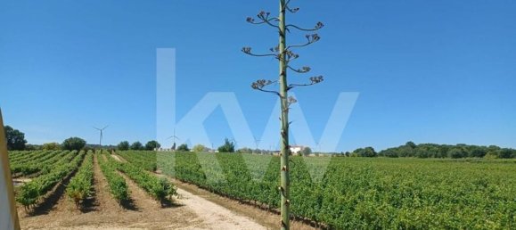 Casa T4 em Torres Vedras, Portugal N.º 90751 13