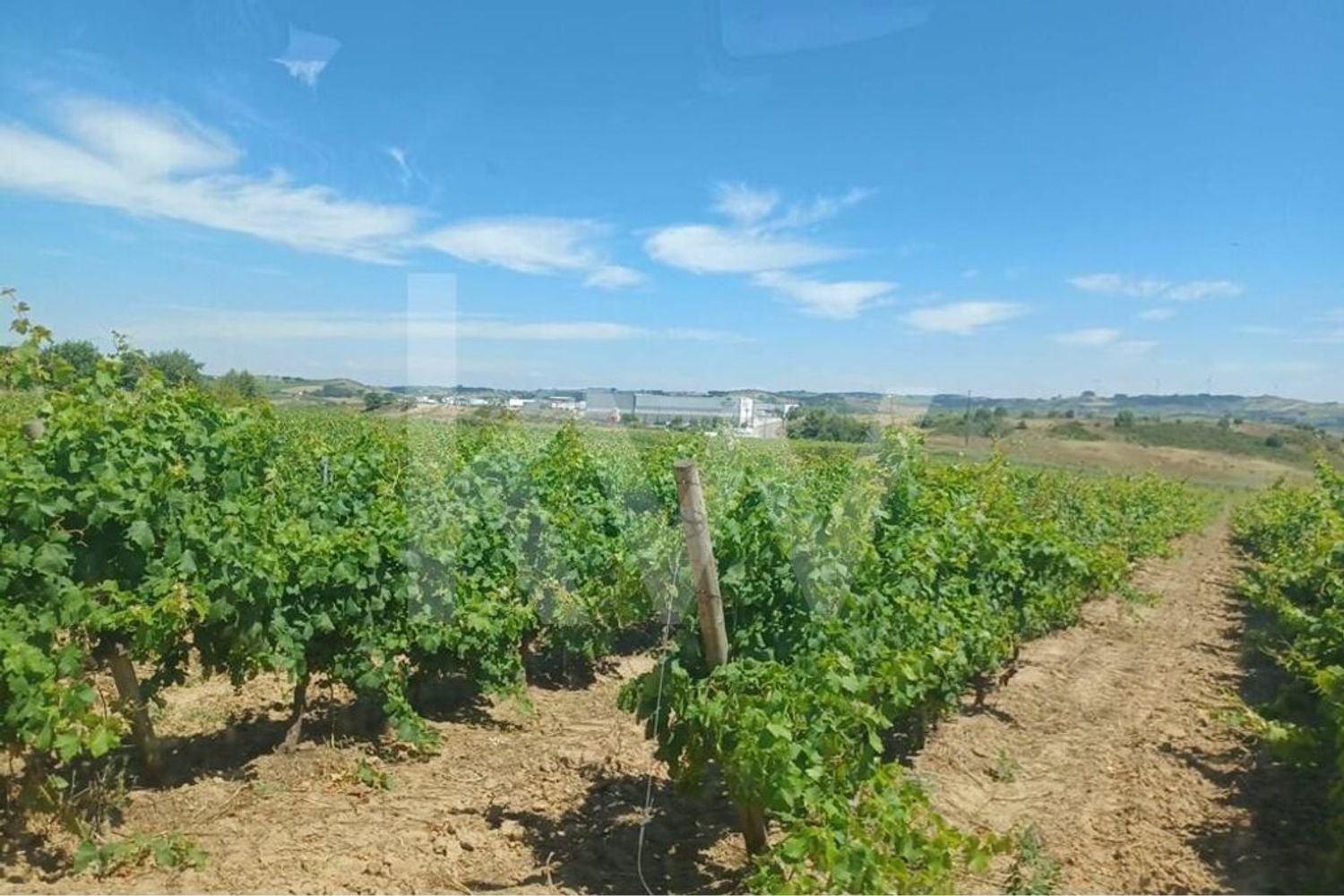 Casa T4 em Torres Vedras, Portugal N.º 90751