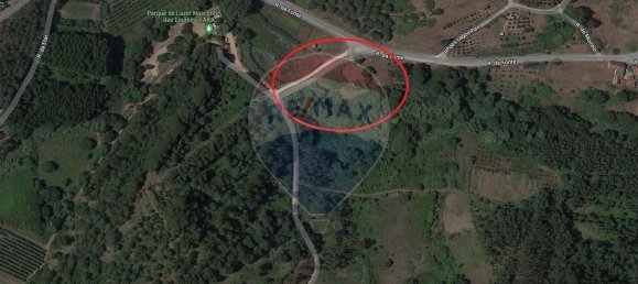  قطعة أرض في Alcobaca, Portugal 7800متر مربع رقم 71297 2