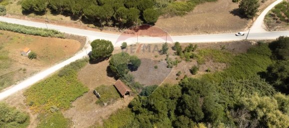  قطعة أرض في Alcobaca, Portugal 7800متر مربع رقم 71297 8