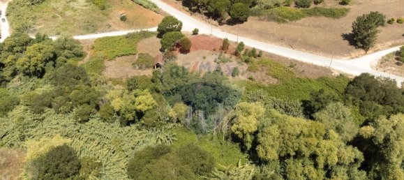  قطعة أرض في Alcobaca, Portugal 7800متر مربع رقم 71297 9