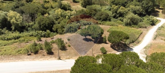  قطعة أرض في Alcobaca, Portugal 7800متر مربع رقم 71297 5