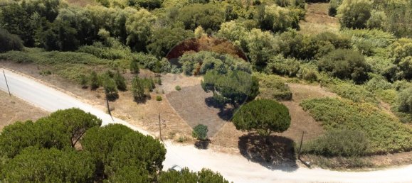  قطعة أرض في Alcobaca, Portugal 7800متر مربع رقم 71297 4