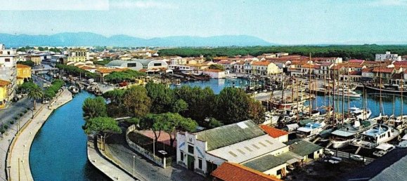 4 rooms Apartment in Viareggio, Italy No. 42911 9