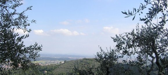 60000m² Land in Bientina, Italy No. 179205 3