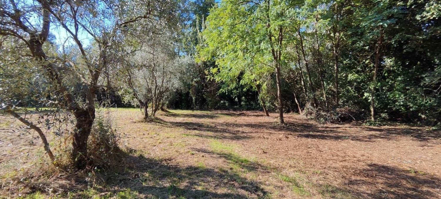 60000m² Land in Bientina, Italy No. 179205