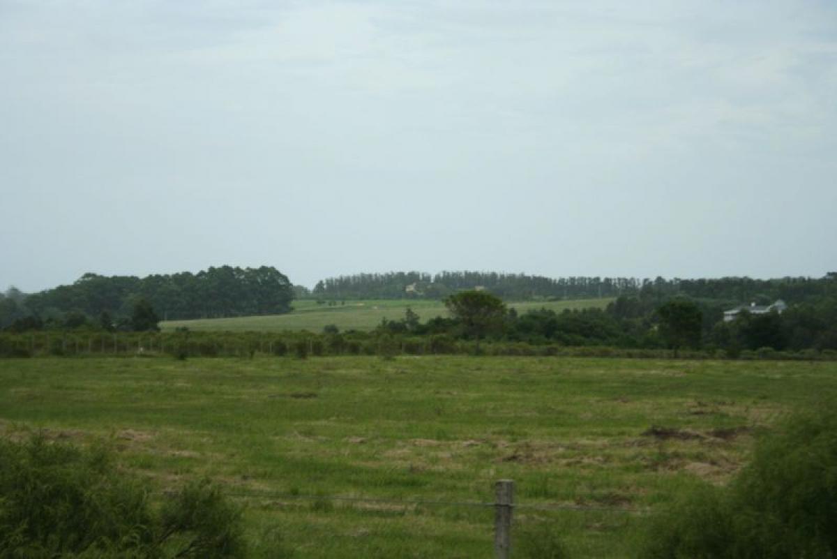 10m² Farm in Maldonado, Uruguay No. 15019
