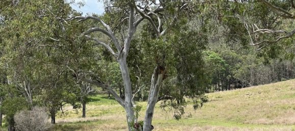  House in Coochin, Australia No. 645 14