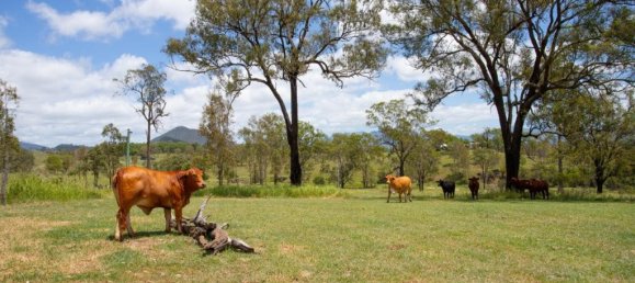  House in Coochin, Australia No. 645 8