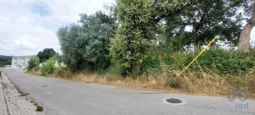 1180m² Land in Leiria, Portugal No. 208847
