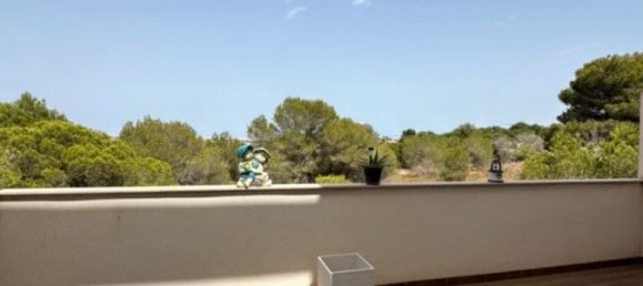 2 bedrooms Apartment in Torrevieja, Spain No. 188092 16