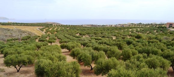 40000m² Hotel in Heraklion, Greece No. 5697 3