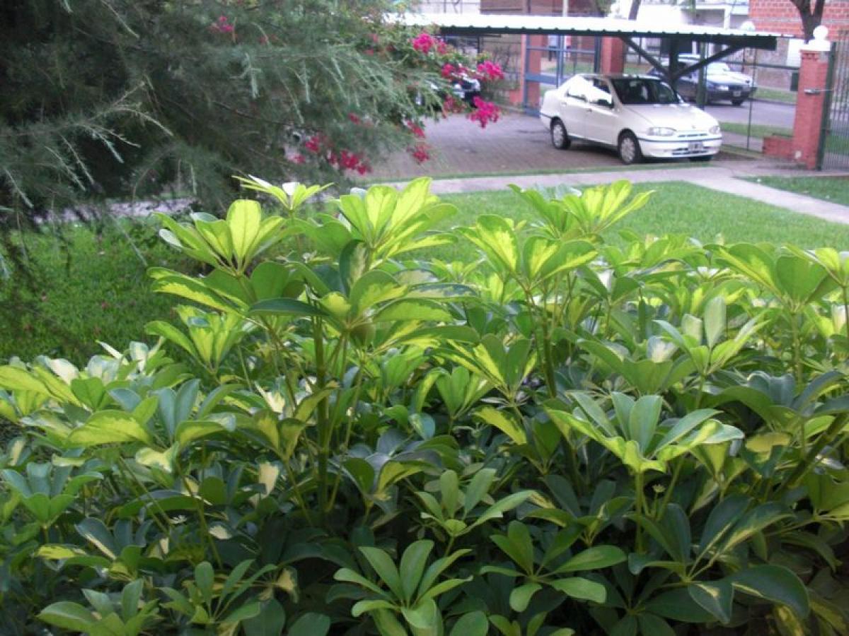 Apartamento T2 em Tres de Febrero, Argentina N.º 1903