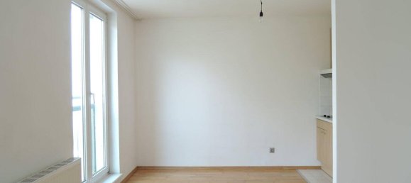 Studio in Penzing, Austria No. 238256 4