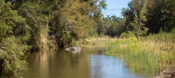 3 Schlafzimmer Haus in Bingara, Australia, Nr. 620 13