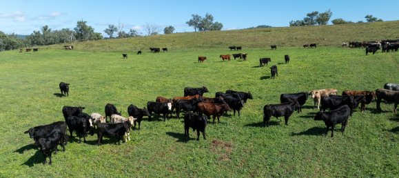 3 Schlafzimmer Haus in Bingara, Australia, Nr. 620 23