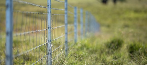 3 Schlafzimmer Haus in Bingara, Australia, Nr. 620 8