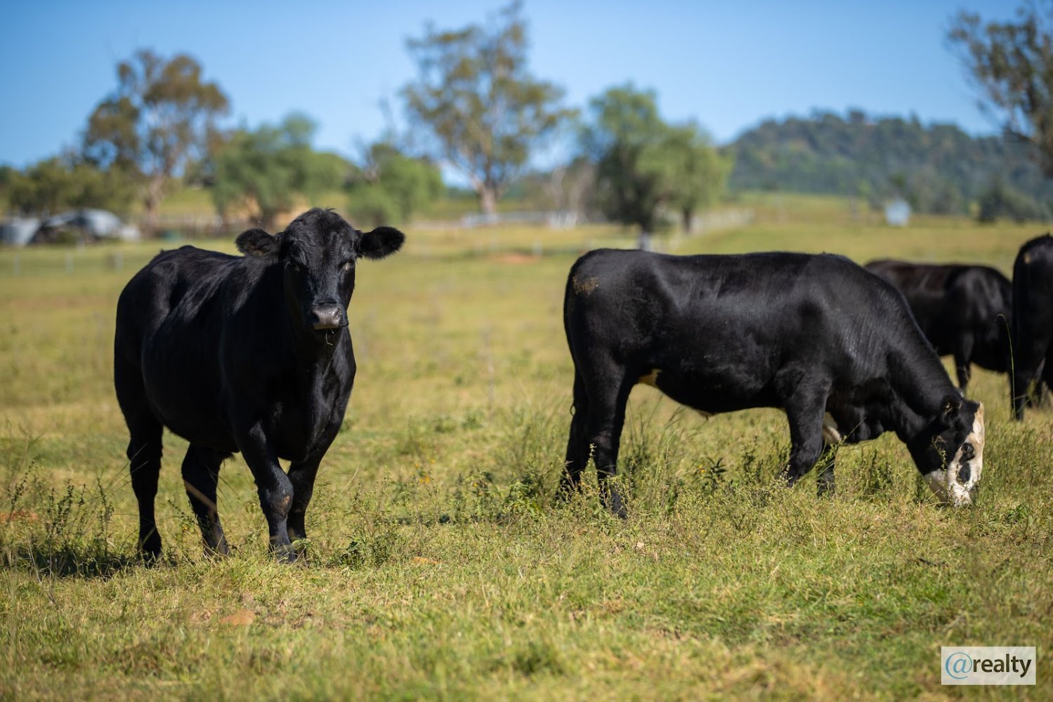 3 Schlafzimmer Haus in Bingara, Australia, Nr. 620