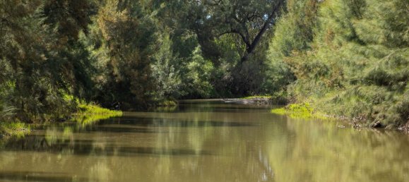 3 Schlafzimmer Haus in Bingara, Australia, Nr. 620 3