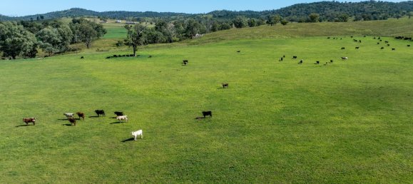 3 Schlafzimmer Haus in Bingara, Australia, Nr. 620 2