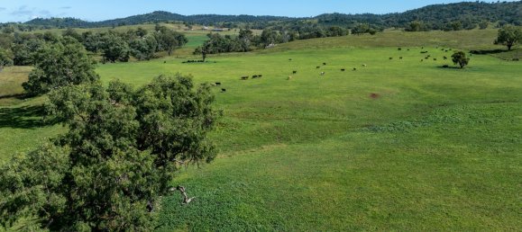 3 Schlafzimmer Haus in Bingara, Australia, Nr. 620 4