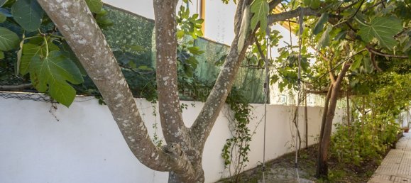 4 Schlafzimmer Haus in Seixal, Portugal, Nr. 126119 50