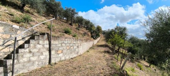 16200m² Land in Barile, Italy No. 300955 6