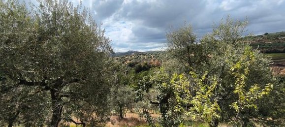 16200m² Land in Barile, Italy No. 300955 5