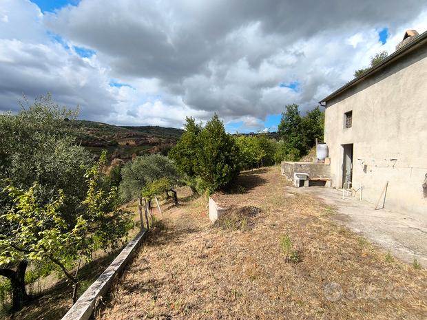 16200m² Land in Barile, Italy No. 300955