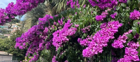 Apartamento de 5 habitaciónes en Camogli, Italy No. 259966 36