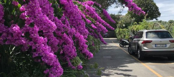 Apartamento de 5 habitaciónes en Camogli, Italy No. 259966 29