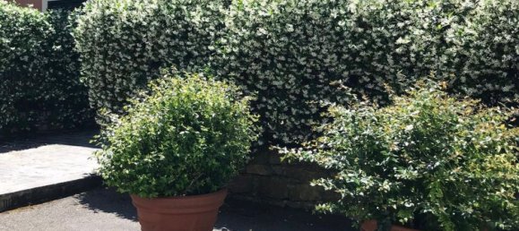 Apartamento de 5 habitaciónes en Camogli, Italy No. 259966 34