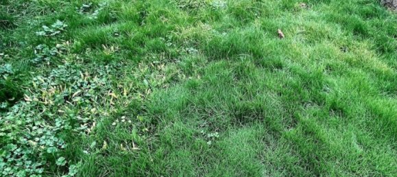 Casa de 3 dormitorios en Petite-Rosselle, France No. 227264 9