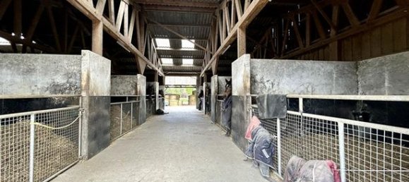 3 chambres Maison à Château-Gontier, France No. 311980 10