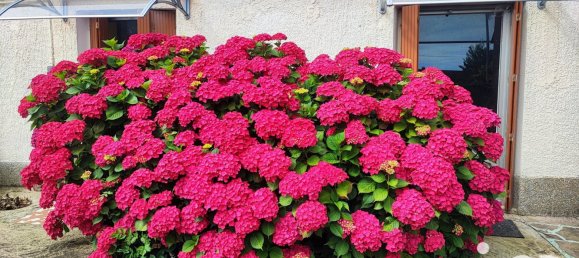 5 Schlafzimmer Haus in Nonvilliers-Grandhoux, France, Nr. 227179 17