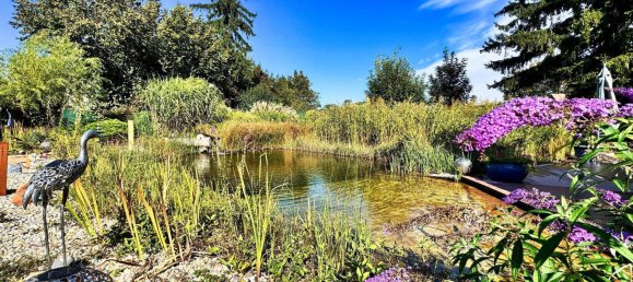 Casa de 4 habitaciónes en Durnkrut, Austria No. 156850 23