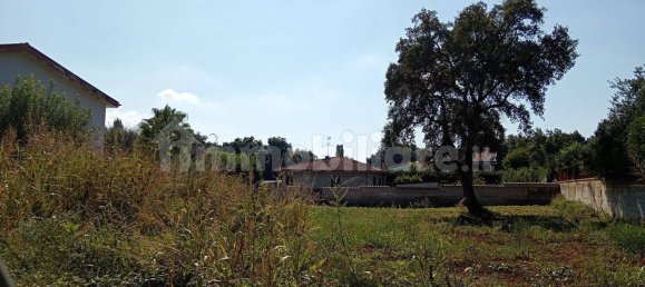 Terreno em Cisterna di Latina, Italy 1000 m² N.º 177113 2