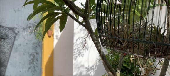 3 Schlafzimmer Wohnung in Marbella, Spain, Nr. 41132 20