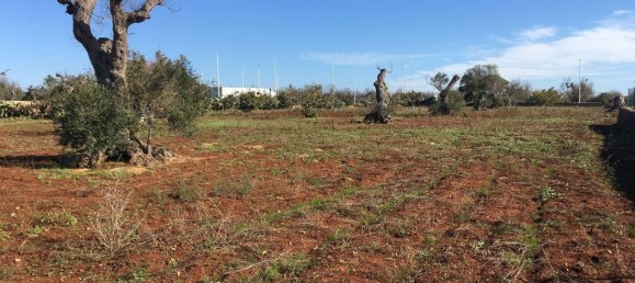 Terrain à Presicce Acquarica, Italy No. 345839 6