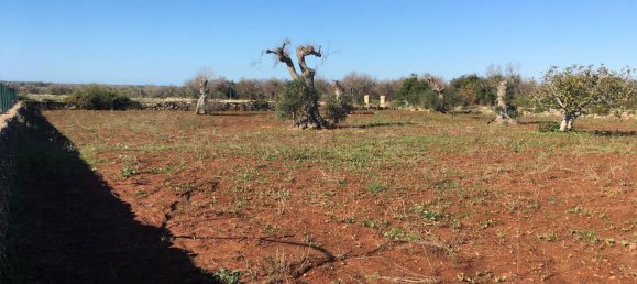 Terrain à Presicce Acquarica, Italy No. 345839 5